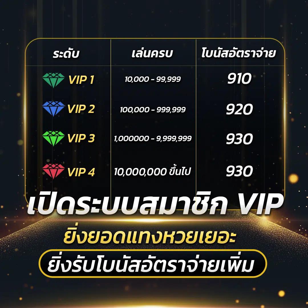 My Slot Wallet คาสิโนออนไลน์อันดับหนึ่งของไทย ครบจบในที่เดียว