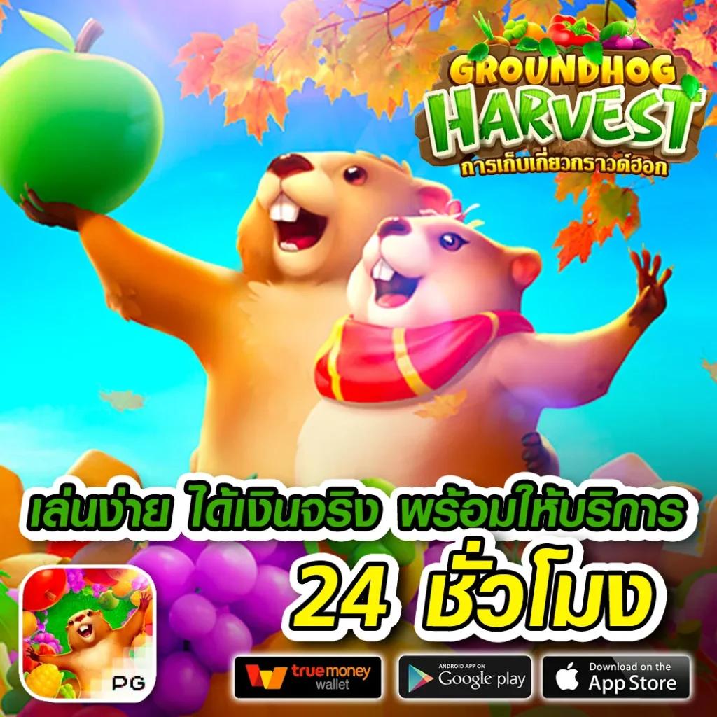 การเล่นสล็อต บนแพลตฟอร์มใหม่ล่าสุด เว็บตรงมั่นคง ปลอดภัย 2024