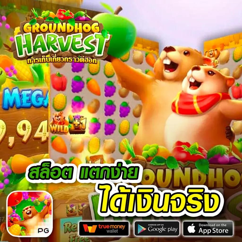 มังกรทอง สล็อต เกมเดิมพันสุดฮิต ระบบฝากถอนออโต้ทันใจ