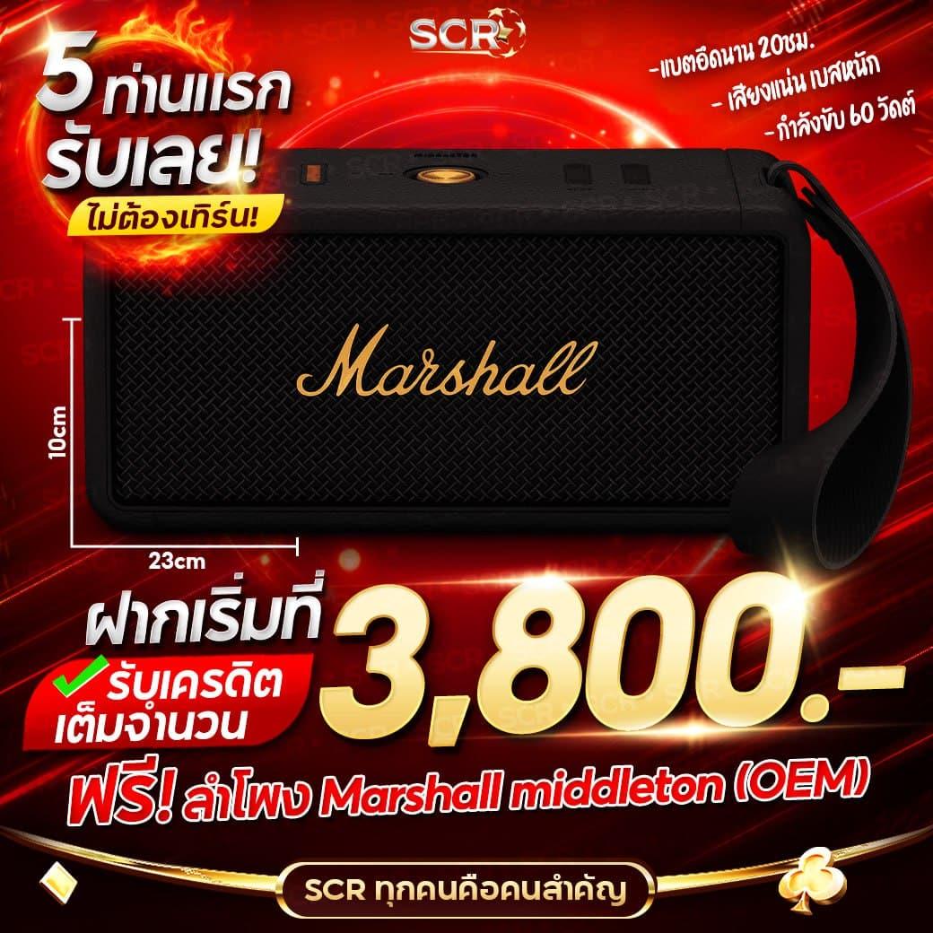 เว็บปั้มสปิน coin master ฟรี พร้อมโบนัสล่าสุด 2024 เครดิตฟรีมากมาย